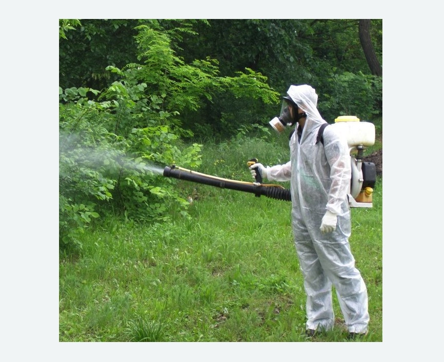 обработка территории от клещей в Ломоносовском районе Москвы