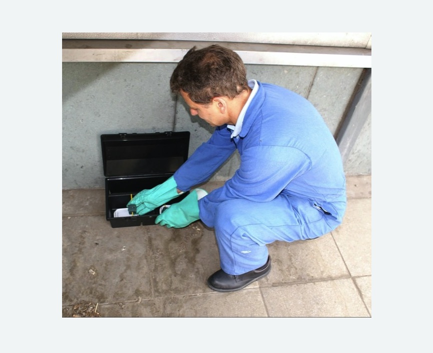 Дератизация помещения в Ломоносовском районе Москвы Дератизация помещения