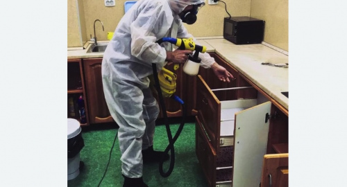 Уничтожение насекомых в квартире. Ломоносовский район