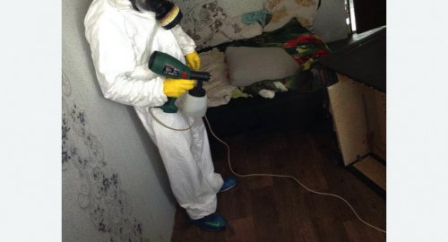 Обработка квартир от насекомых в Ломоносовском районе Москвы