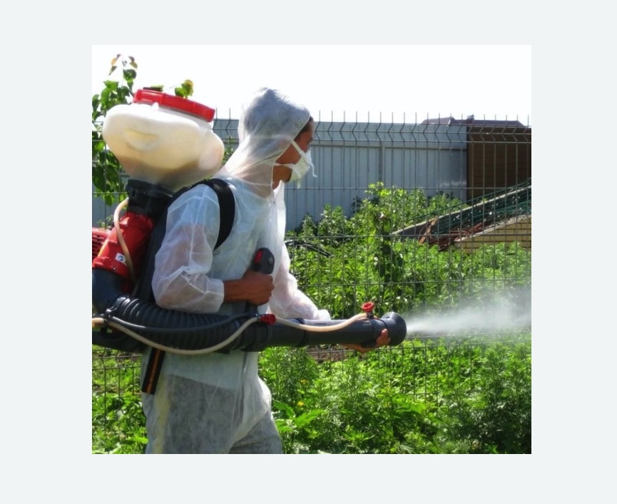 Акарицидная обработка территории в Ломоносовском районе Москвы