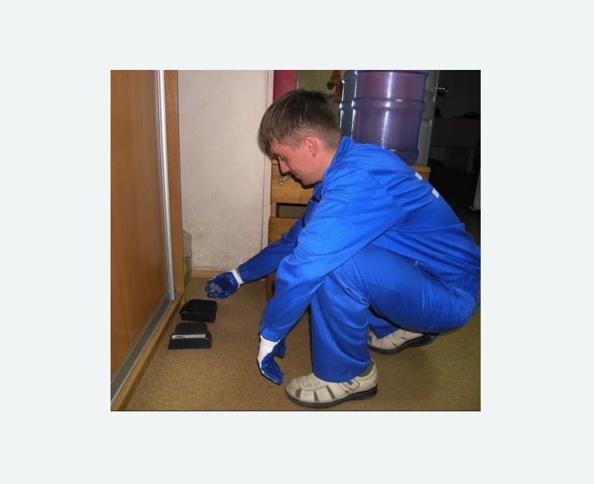 Дератизация крыс в Ломоносовском районе Москвы