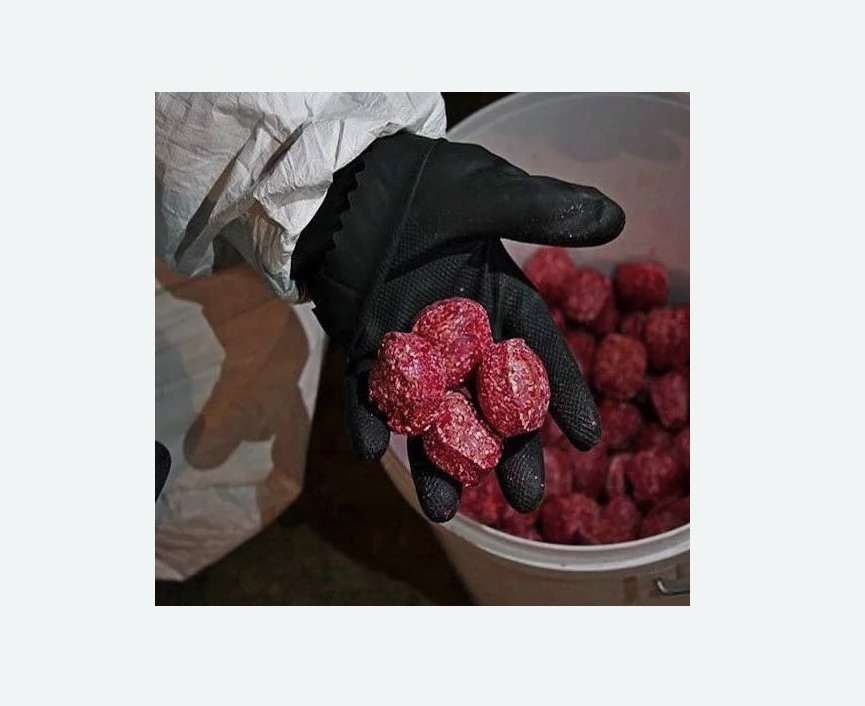 Обработка от крыс в Ломоносовском районе Москвы