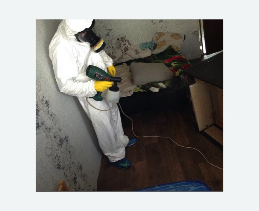 Обработка от насекомых в Ломоносовском районе Москвы Обработка квартиры от насекомых