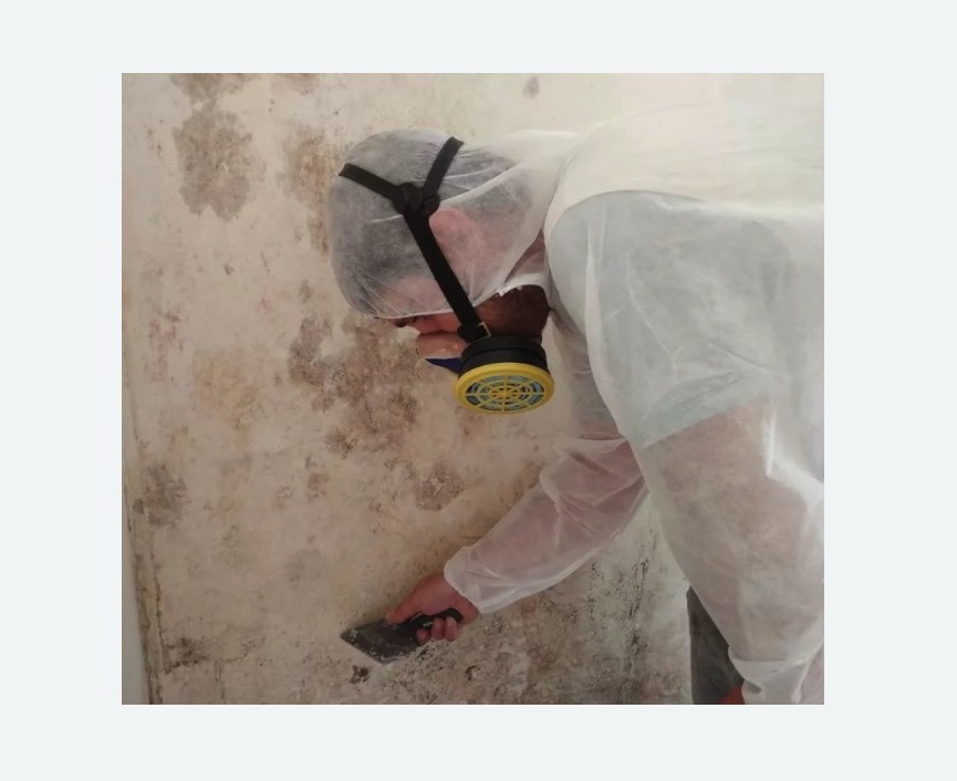 Обработка стен от плесени в Ломоносовском районе Москвы