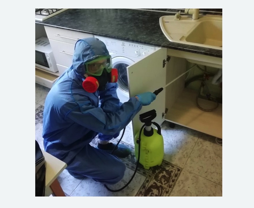 обработка от муравьев в квартире в Ломоносовском районе Москвы