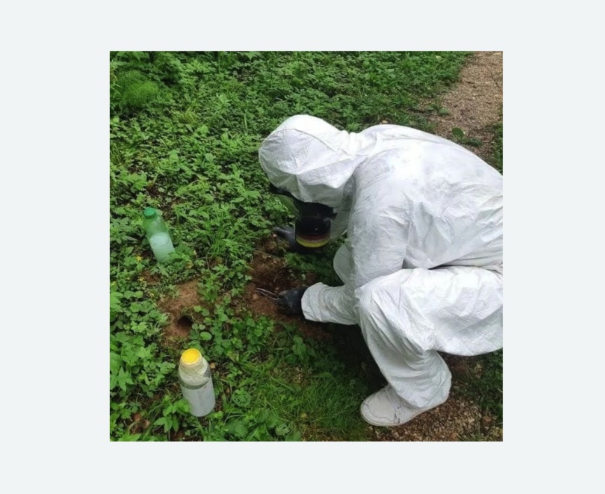 уничтожение кротов на участке в Ломоносовском районе Москвы