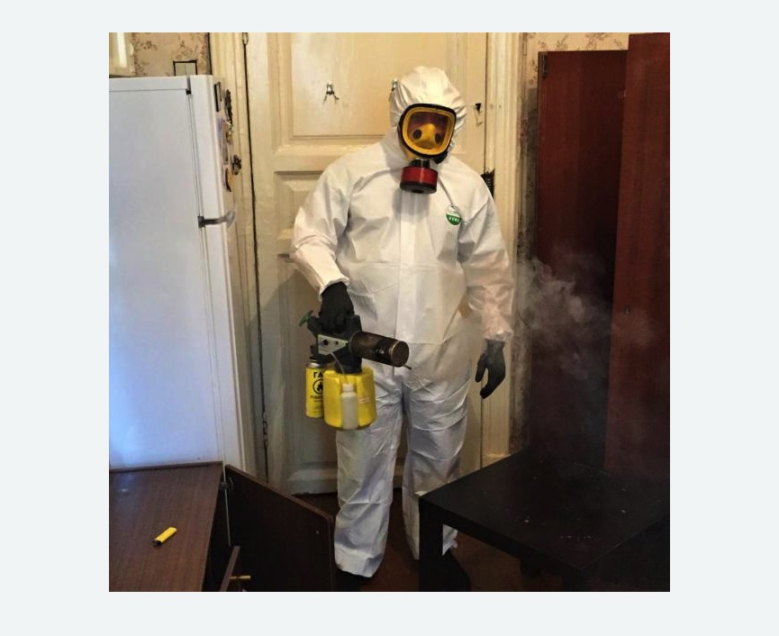 уничтожение муравьев в квартире в Ломоносовском районе Москвы